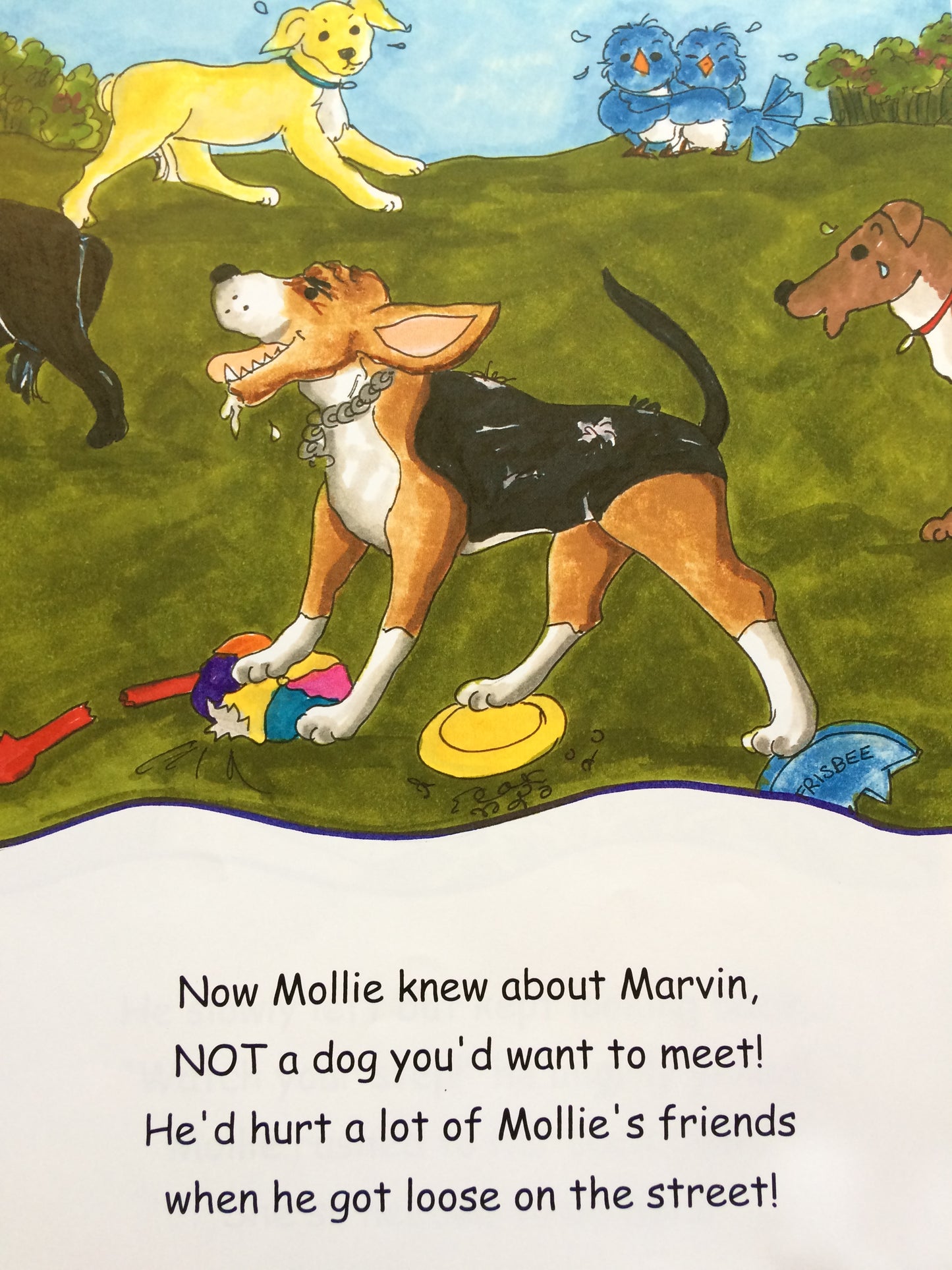 Marvin Bullies Mollie