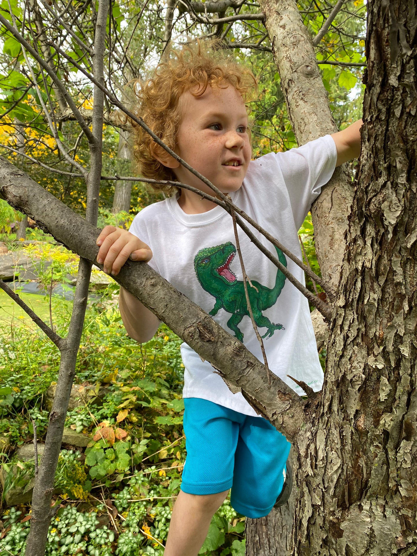 Dinosaur Tee