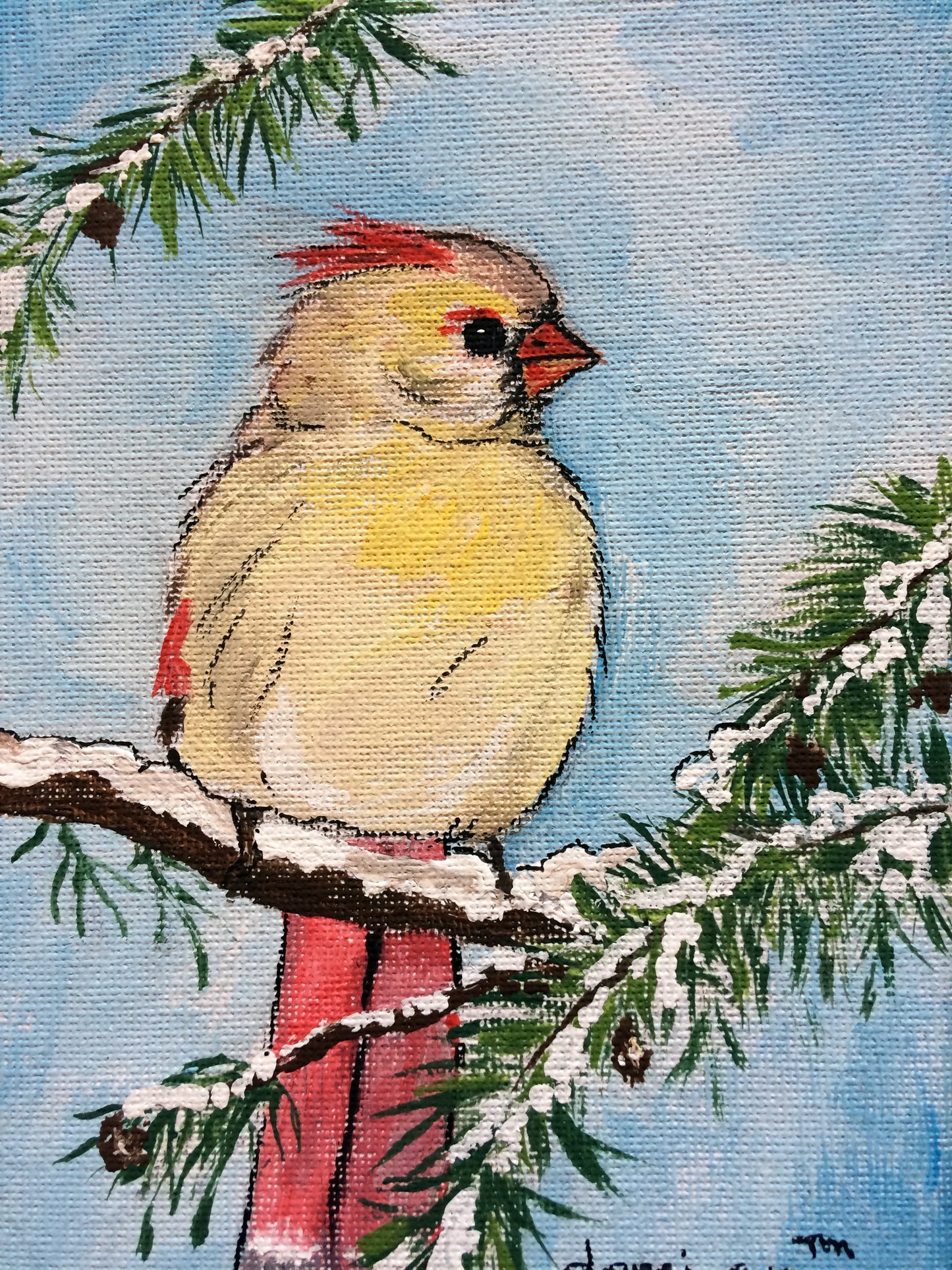 Female Cardinal Greeting Card